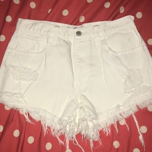 Holister Festival Shortie